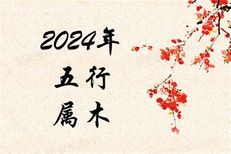 2024年是什么命